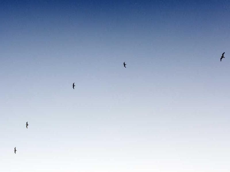 Immersive Learning Environment